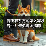 简历联系方式怎么写才专业？避免踩坑指南（图1）