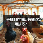 手机制作简历有哪些实用技巧？（图1）