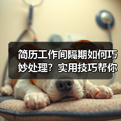 简历工作间隔期如何巧妙处理？实用技巧帮你应对（图2）