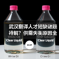 武汉翻译人才短缺谜题待解？供需失衡原因全解析（图4）