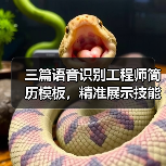 三篇语音识别工程师简历模板，精准展示技能与研发经验（图2）