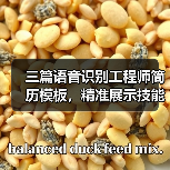 三篇语音识别工程师简历模板，精准展示技能与研发经验（图4）
