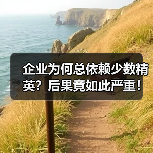 企业为何总依赖少数精英?后果竟如此严重!(图2) 企业为何总依赖少数精英?后果竟如此严重!(图2)