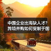 中国企业出海缺人才?跨境并购如何受制于国际人才缺口?(图3) 中国企业出海缺人才?跨境并购如何受制于国际人才缺口?(图3)