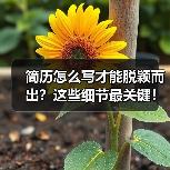 简历怎么写才能脱颖而出？这些细节最关键！（图2）