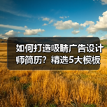 如何打造吸睛广告设计师简历？精选5大模板解析（图2）