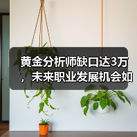 黄金分析师缺口达3万，未来职业发展机会如何？（图3）