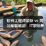 软件工程师紧缺 vs 网站编辑崛起：IT职场新趋势谁主沉浮？（图2）