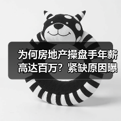 为何房地产操盘手年薪高达百万？紧缺原因曝光！（图2）