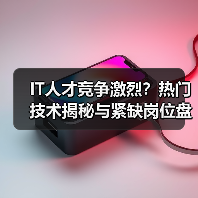 IT人才竞争激烈？热门技术揭秘与紧缺岗位盘点（图2）