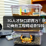 3G人才缺口超百万？移动商务工程师成香饽饽（图3）