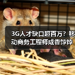 3G人才缺口超百万？移动商务工程师成香饽饽（图2）