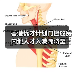 香港优才计划门槛放宽 内地人才入港潮将至（图3）