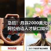急招！月薪2000美元的阿拉伯语人才缺口如何补？（图4）