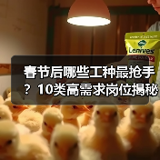 春节后哪些工种最抢手?10类高需求岗位揭秘(图3) 春节后哪些工种最抢手?10类高需求岗位揭秘(图3)