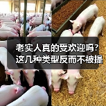老实人真的受欢迎吗？这几种类型反而不被提拔（图1）