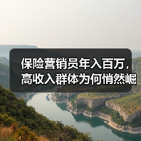 保险营销员年入百万，高收入群体为何悄然崛起？（图4）