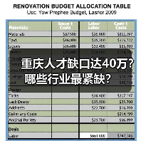 重庆人才缺口达40万？哪些行业最紧缺？（图3）