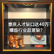 重庆人才缺口达40万？哪些行业最紧缺？（图4）