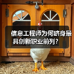 信息工程师为何跻身最具创新职业前列？（图4）