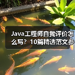 Java工程师自我评价怎么写？10篇精选范文参考（图4）