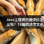 Java工程师自我评价怎么写？10篇精选范文参考（图3）