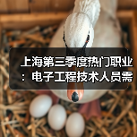 上海第三季度热门职业：电子工程技术人员需求激增（图4）