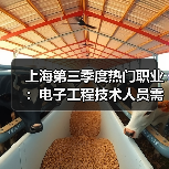 上海第三季度热门职业：电子工程技术人员需求激增（图1）