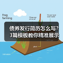 债券发行简历怎么写？3篇模板教你精准展示经验！（图1）