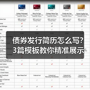 债券发行简历怎么写？3篇模板教你精准展示经验！（图2）