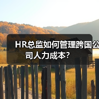 HR总监如何管理跨国公司人力成本？（图2）