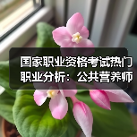 国家职业资格考试热门职业分析：公共营养师与理财规划师（图1）