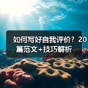 如何写好自我评价？20篇范文+技巧解析（图4）
