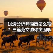 投资分析师简历怎么写？三篇范文助你突围职场（图4）