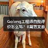 Golang工程师自我评价怎么写？8篇范文参考（图4）