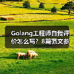 Golang工程师自我评价怎么写？8篇范文参考（图1）