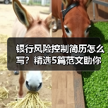 银行风险控制简历怎么写？精选5篇范文助你脱颖而出（图3）