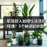 职场新人如何快速适应环境？5个秘诀助你赢在起点（图4）