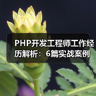 PHP开发工程师工作经历解析：6篇实战案例与技术成长（图2）
