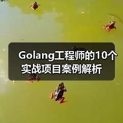 Golang工程师的10个实战项目案例解析（图3）