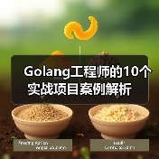 Golang工程师的10个实战项目案例解析（图4）