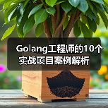 Golang工程师的10个实战项目案例解析（图1）
