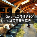 Golang工程师的10个实战项目案例解析（图2）