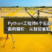 Python工程师6个实战案例解析：从智能客服到工业识别的应用（图3）