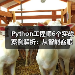 Python工程师6个实战案例解析：从智能客服到工业识别的应用（图4）
