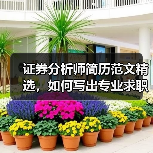 证券分析师简历范文精选，如何写出专业求职简历？（图2）