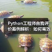 Python工程师自我评价案例解析：如何高效展示技能？（图4）