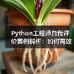 Python工程师自我评价案例解析：如何高效展示技能？（图1）