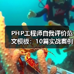 PHP工程师自我评价范文模板：10篇实战案例参考（图3）
