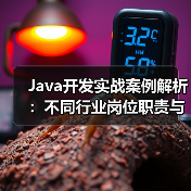 Java开发实战案例解析：不同行业岗位职责与技术应用全揭秘（图4）
